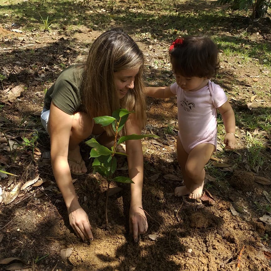 plantando uma árvore na amazônia