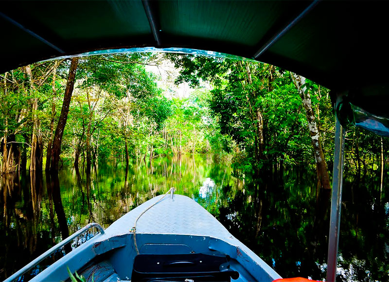 o novo normal e o turismo na Amazônia