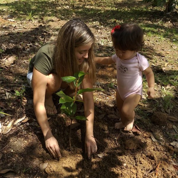 plantando uma árvore na amazônia